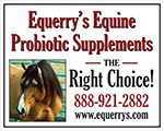 Equerry's Equine Supplements