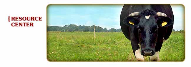 Aslin-Finch Cattle Resource Center
