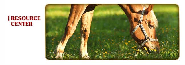 Aslin-Finch Horse Resource Center