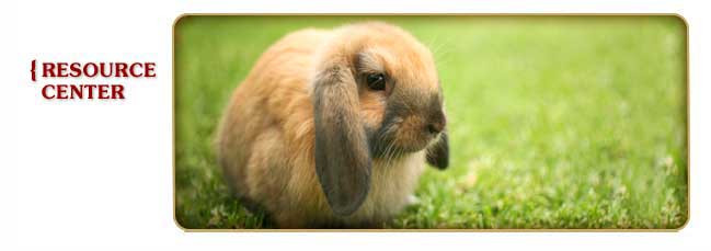 Aslin-Finch Rabbit Resource Center
