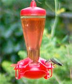 Hummingbird Feeder