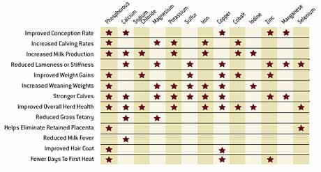 Mineral Deficiency Chart